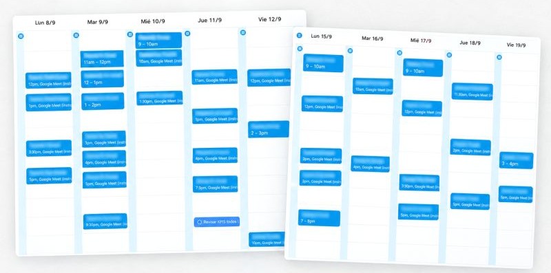 Ejemplo de agenda con visitas calificadas agendadas